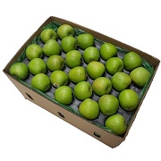 APPGSZAXX18KSP