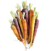 CARXXZAXX200A1