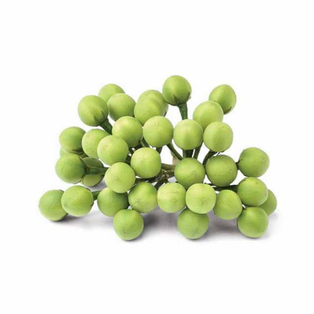 Pea Eggplants