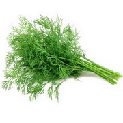 Fennel Leaf