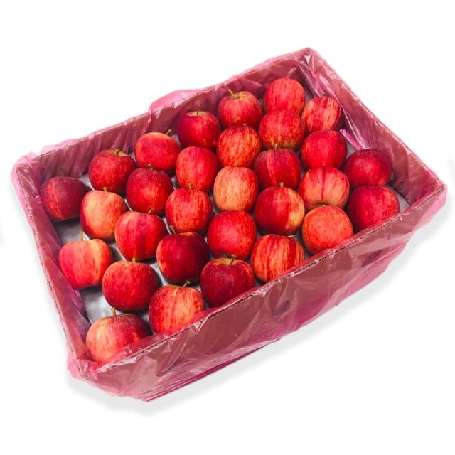 APPREITSUCTNS1