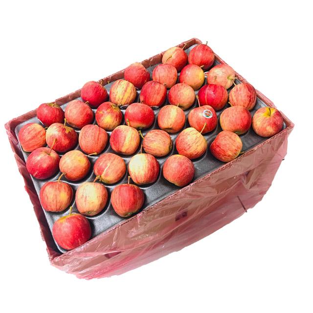 APPRGZATCCTNS1