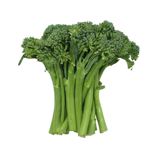 BCTSKEXXPKTA1
