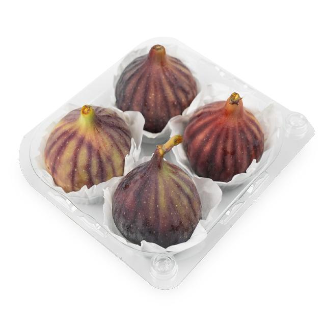 FIG18TRXX1.2A1