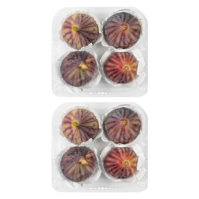 FIG18TRXXBDLA1