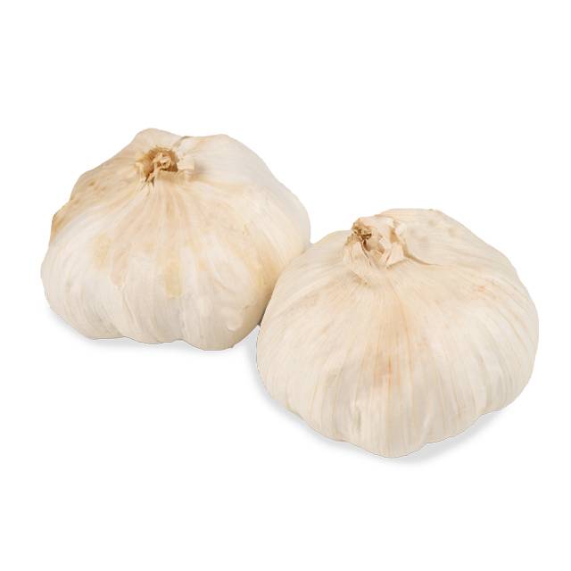 Garlic white