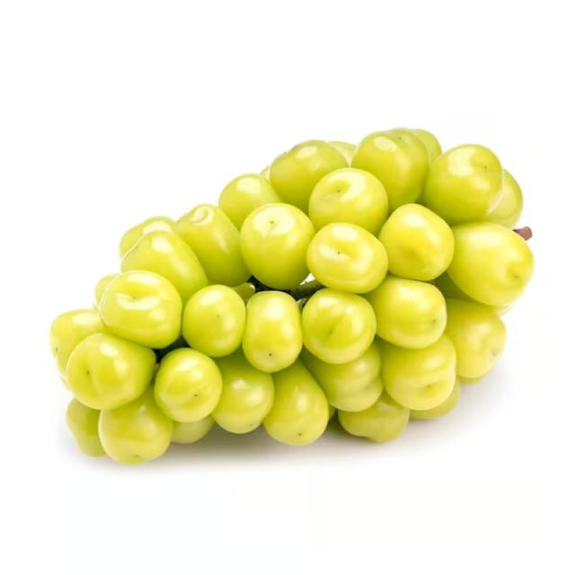 GRAMUCNXX5KGL1