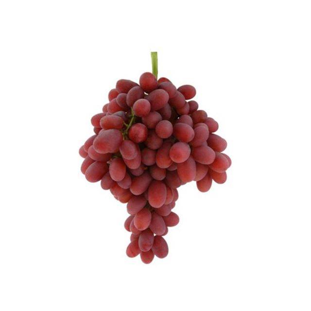 Sweet Celebration Grapes