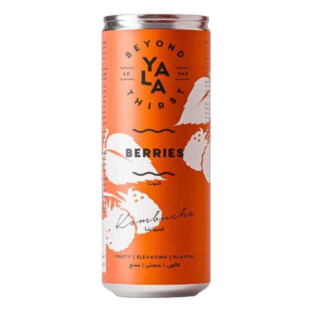 Saba Kombucha