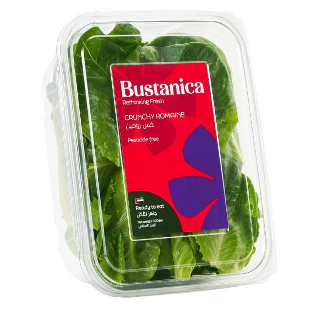 Romaine Leaves