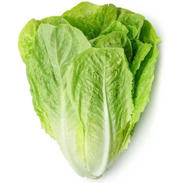 LETROKEXX2XXA1