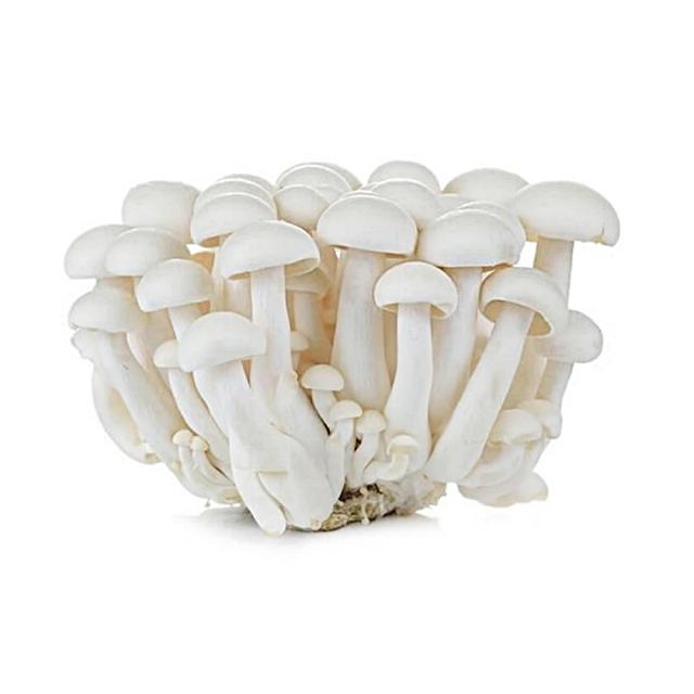 Shimeji Mushrooms