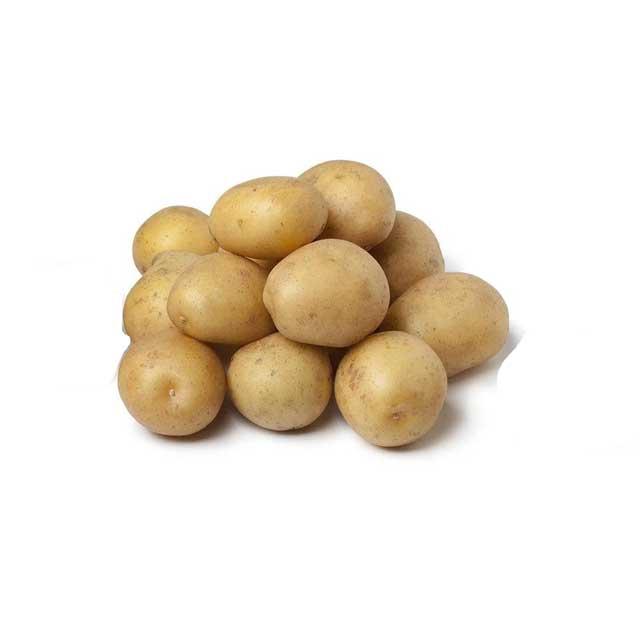 POTBAINXX500AO