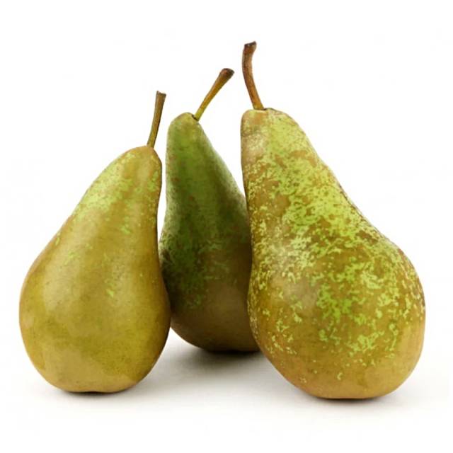 PRSCOESXXPACAO