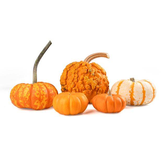 PUMHAUSXX5PCA1
