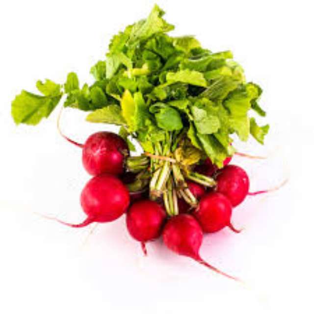 Red Radish