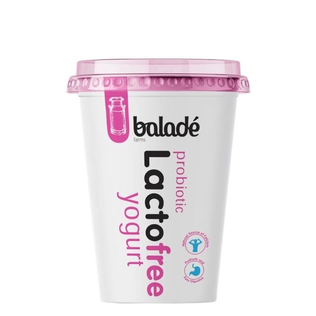 Lacto Free Yoghurt