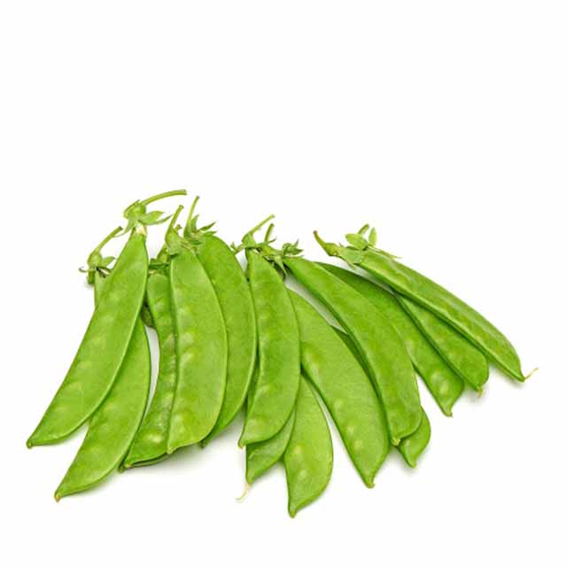 PEASNKEXXPKTA1