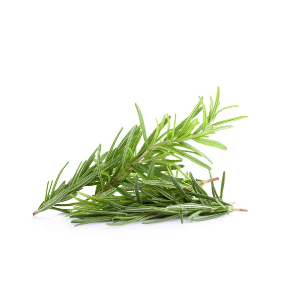 Rosemary