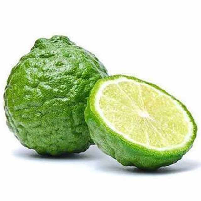 Lime Kaffir