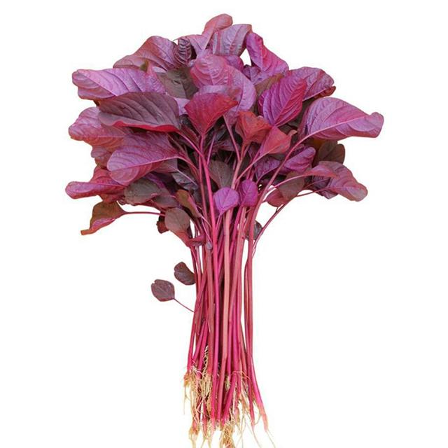 Red Spinach