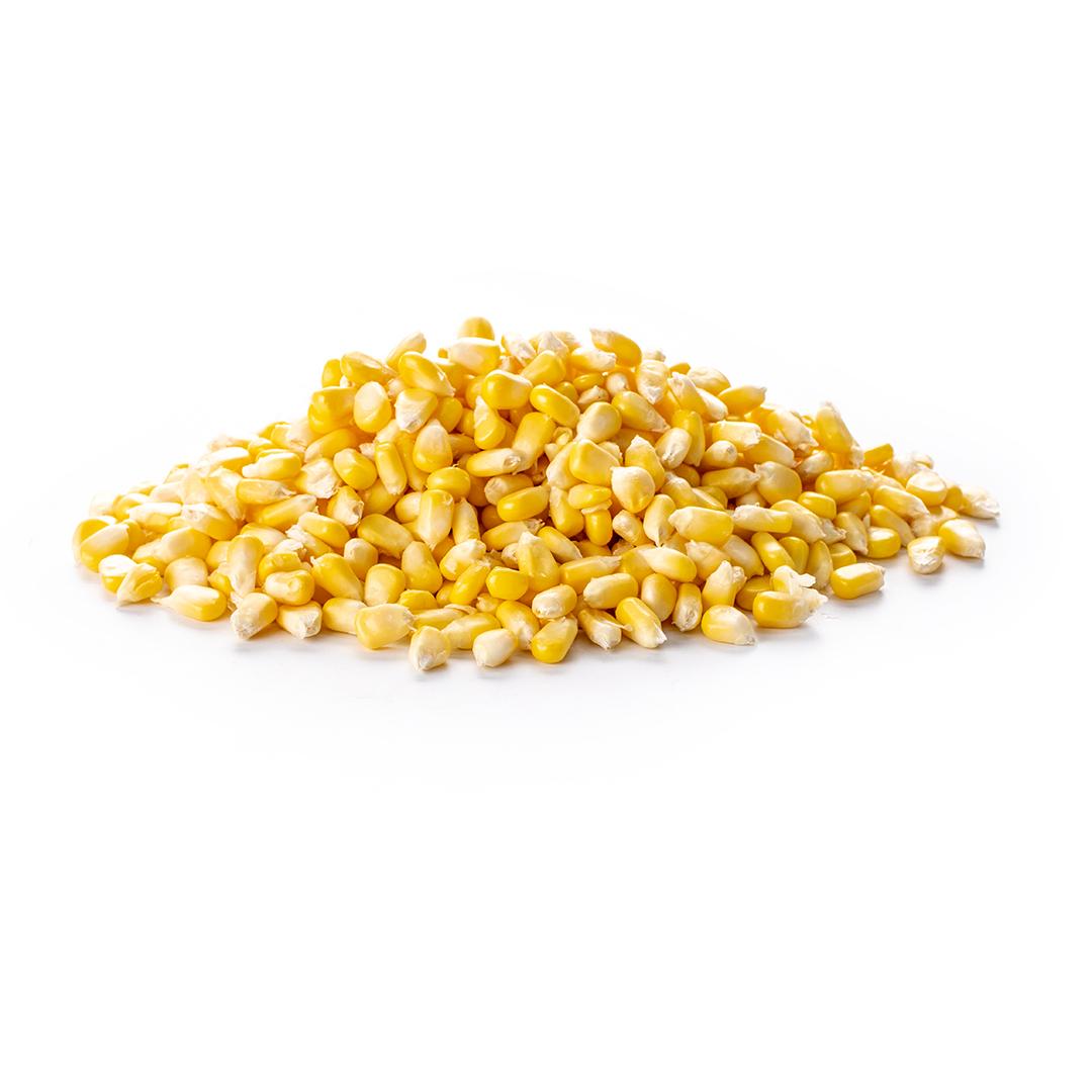 Sweet Corn Nipped